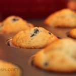 blueberry muffins